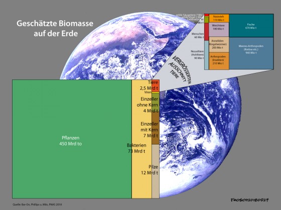 Biomasse auf der Erde