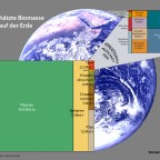 Biomasse auf der Erde