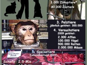 Tierwelten in Deutschland